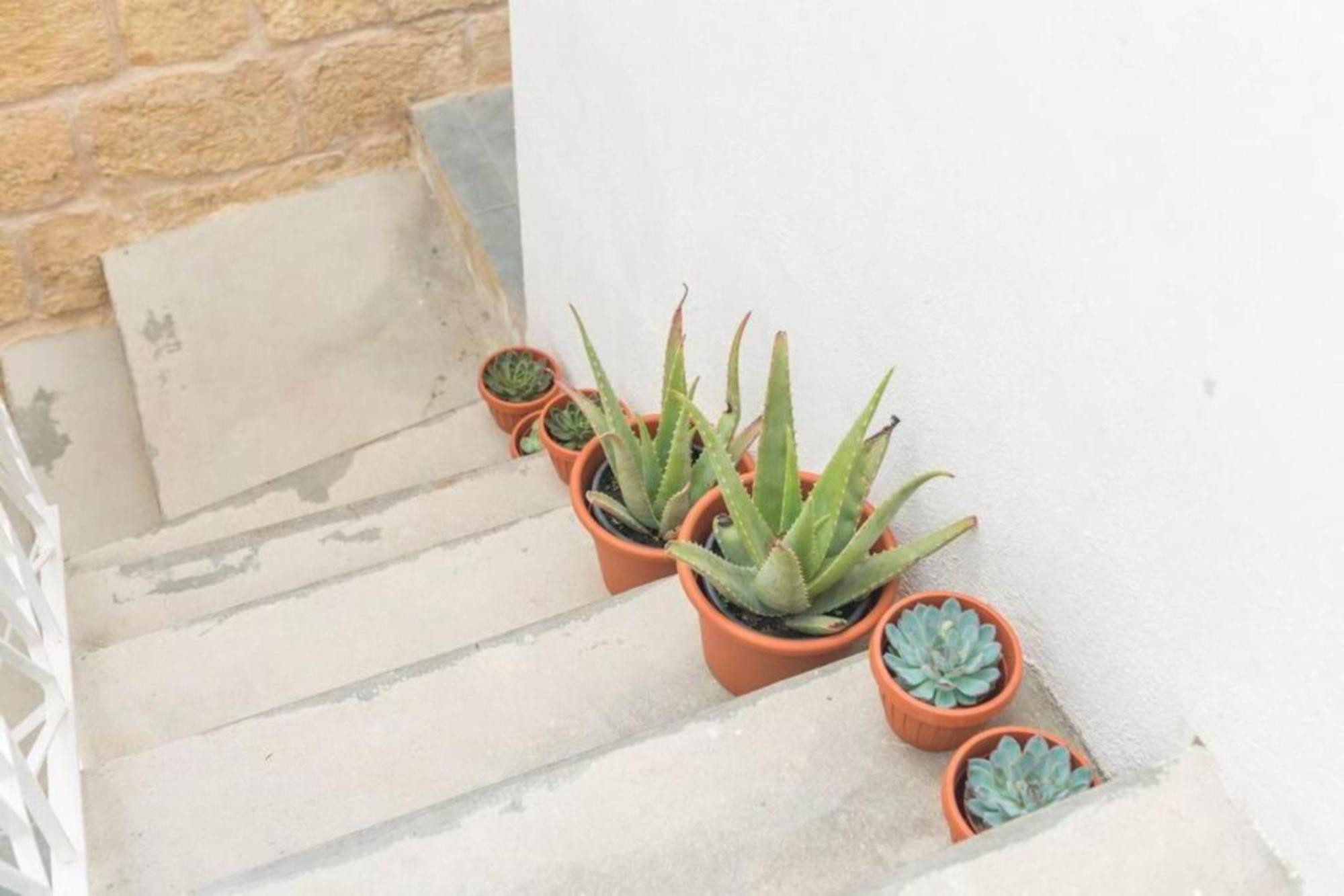 Authentic Gf Apartment With Terrace At The 3 Cities Marina Cospicua Eksteriør bilde